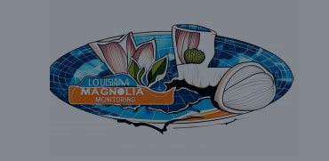 More Than Just a Monitoring Company