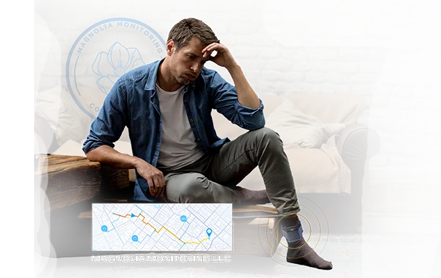 GPS Monitoring Image